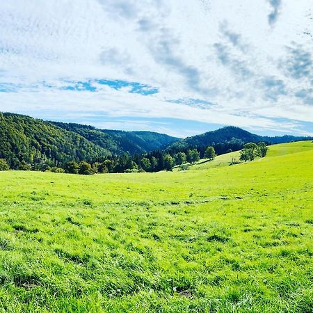 Ferienhaus Doina Gehlberg Dış mekan fotoğraf