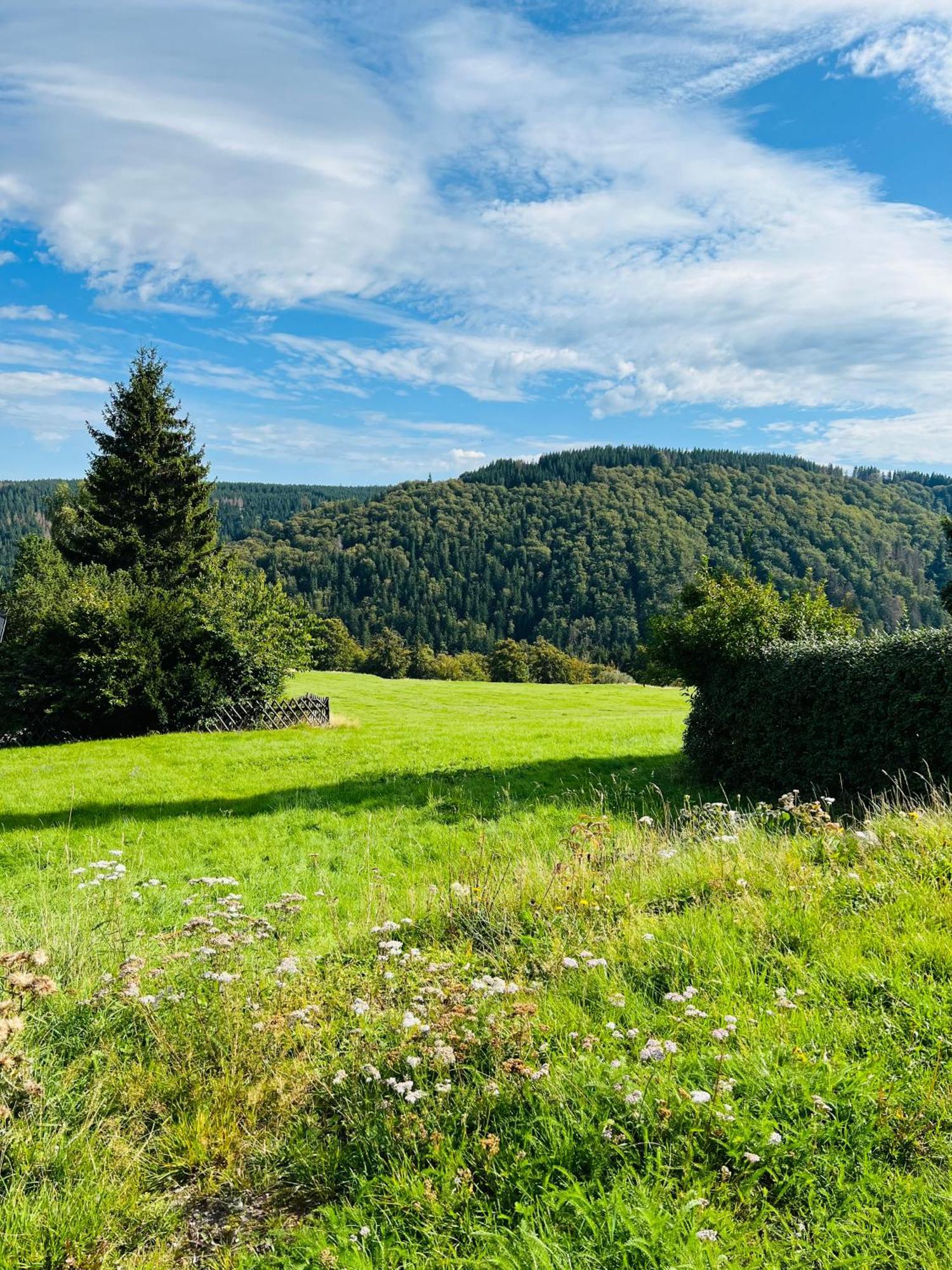 Ferienhaus Doina Gehlberg Dış mekan fotoğraf