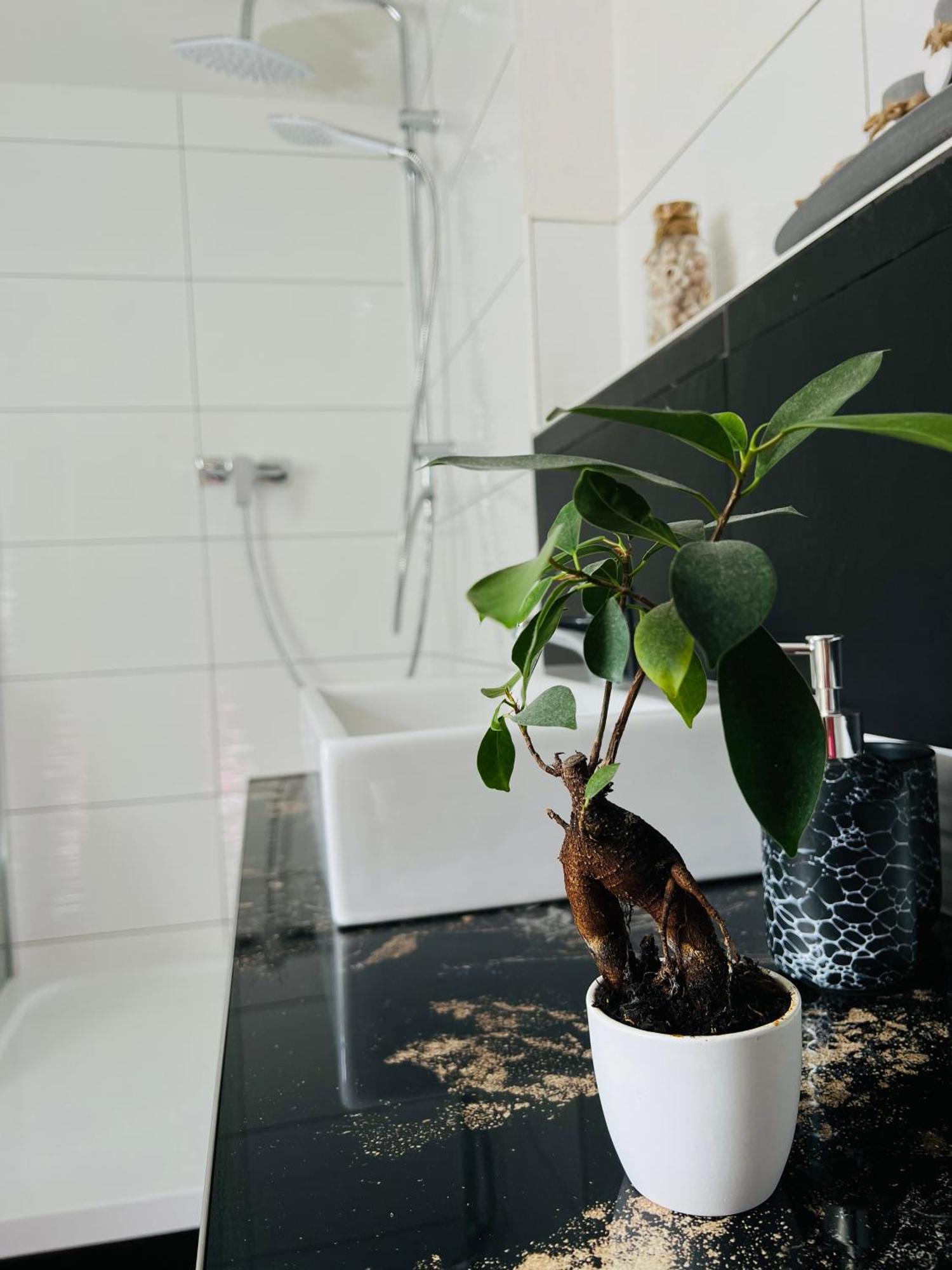 Ferienhaus Doina Gehlberg Dış mekan fotoğraf